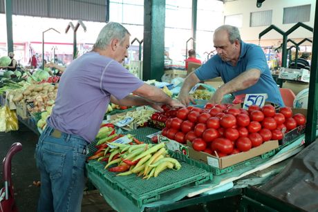 Pijaca, povrće, paradajz, krompir, paprike, Jagodina Pijaca, povrće, paradajz, krompir, paprike, Jagodina