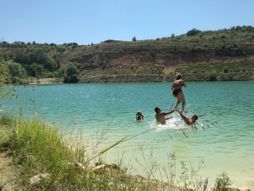 Neko je spas od vrućine potražio na jezeru