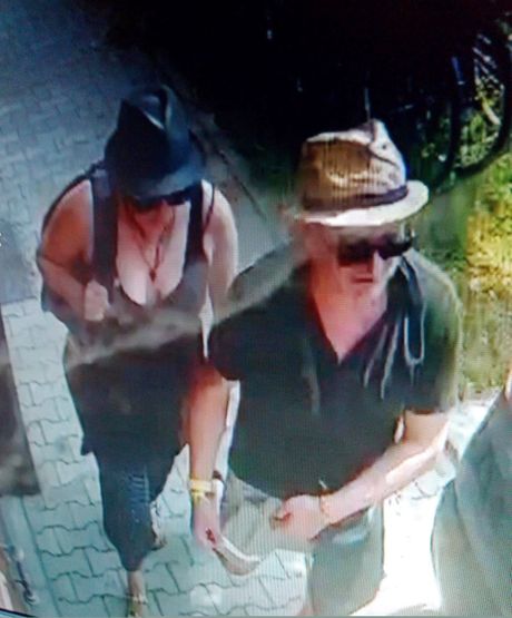 Provalnici Provalnici