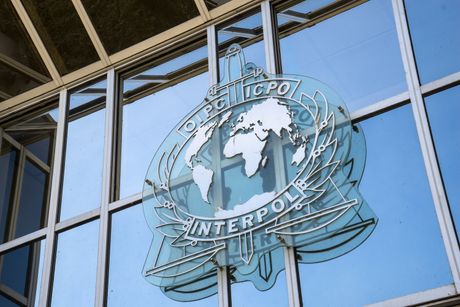 Interpol, logo