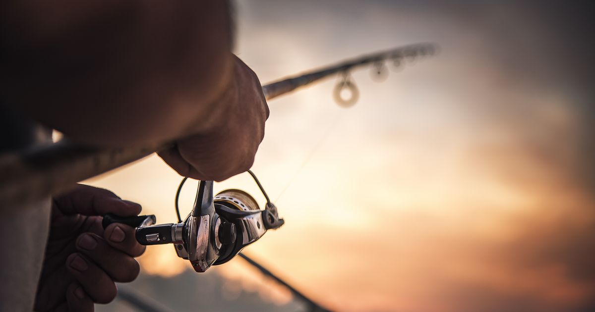 Monster pulled from Europe's most famous lake! Fisherman stunned by the sight: 'Unbelievable what's swimming now'