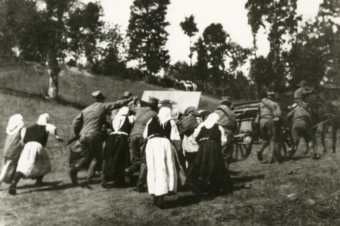 Cerska bitka, Srpska vojska, Kraljevina Srbija