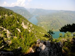 Fruska Gora, Tara, Divčibare