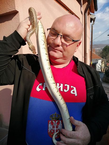 Vladica Stankovic, Vatrogasac, Vladičin Han, zmije