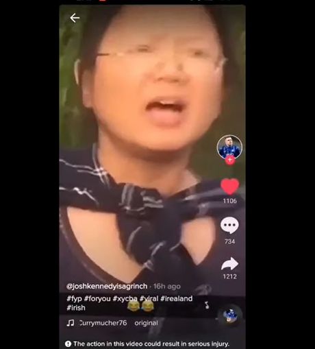 Dablin, žena gurnuta u vodu, Suedan Siong, rasizam, Dablin, žena gurnuta u vodu, Suedan Siong, rasizam,