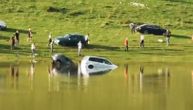 Incredible video of Sjenica Lake swallowing 2 cars: People just stand by, watching helplessly