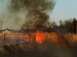 paljenje strnjike, vatra, trava, korov,