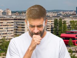 Kasalj, covek, novi beograd