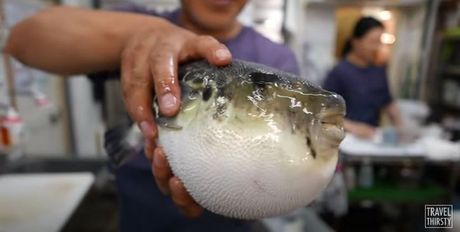 Fugu riba