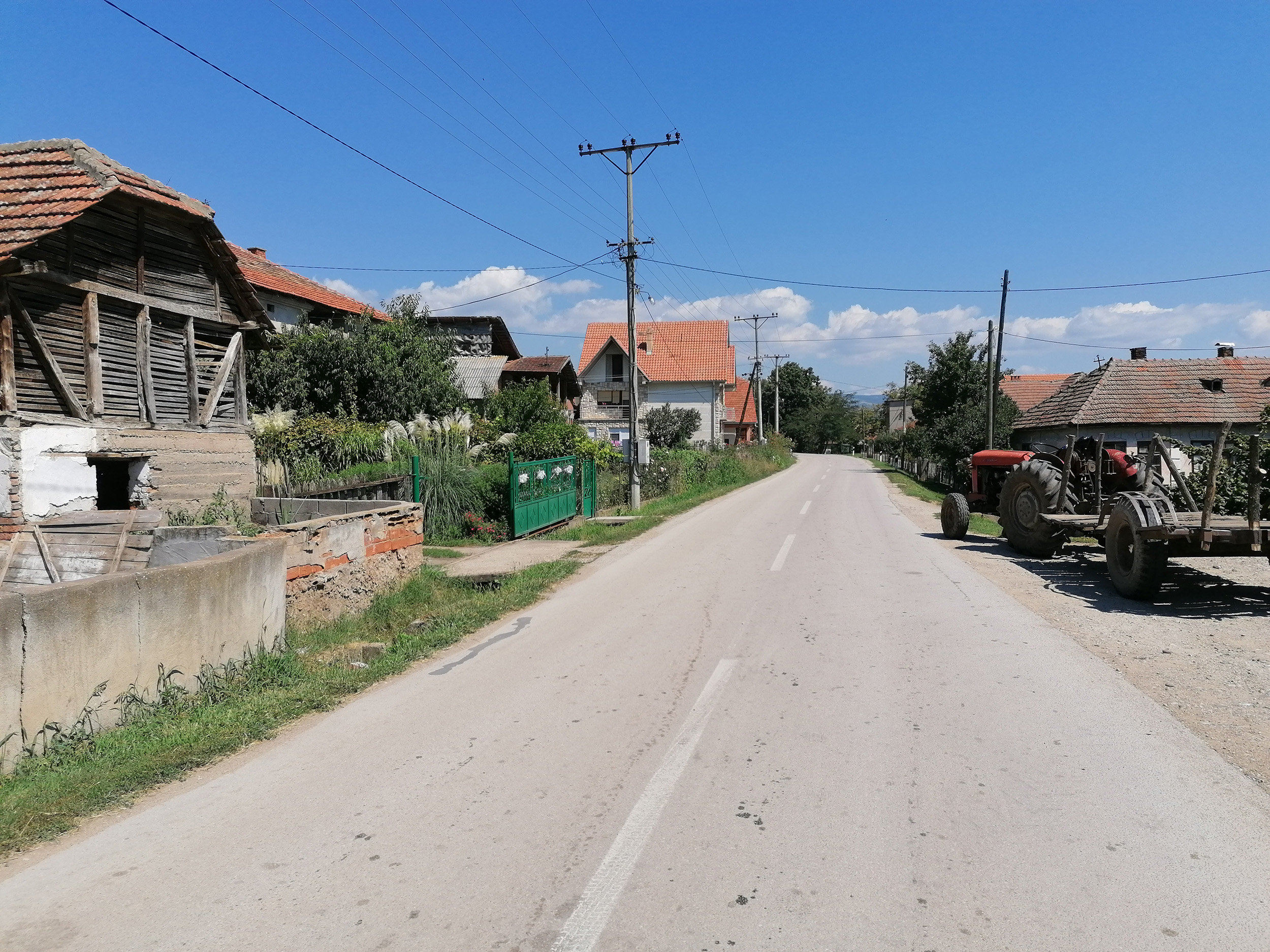 "Kao da je došla s razlogom": Neobična poseta na Svetu Petku oduševila porodicu Ilić iz okoline Aleksinca