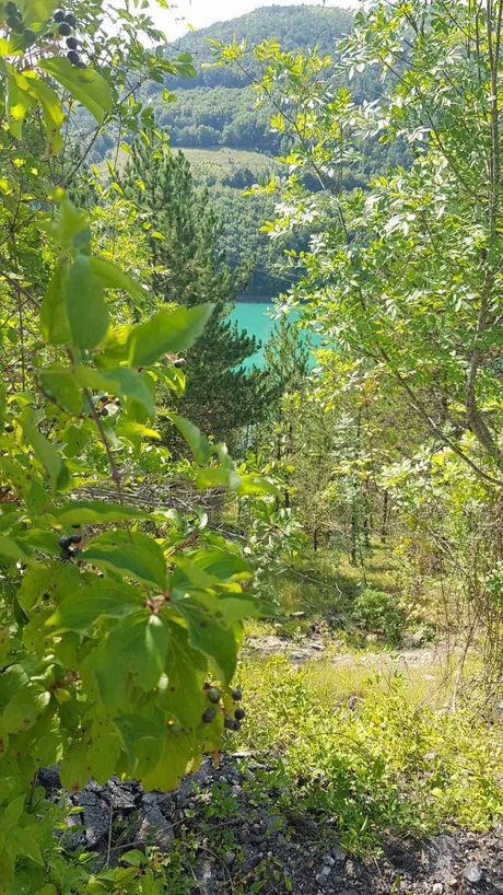 Zavojsko jezero, priroda, turizam