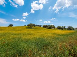 Alenteho regija, Portugal, Alentejo