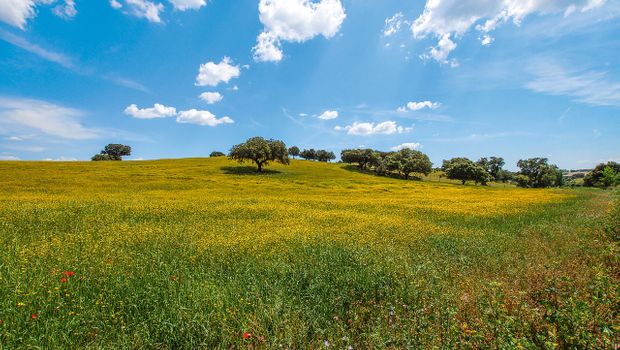 Alenteho regija, Portugal, Alentejo