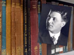 Pavle Beljanski, kolekcija gramofonske ploče