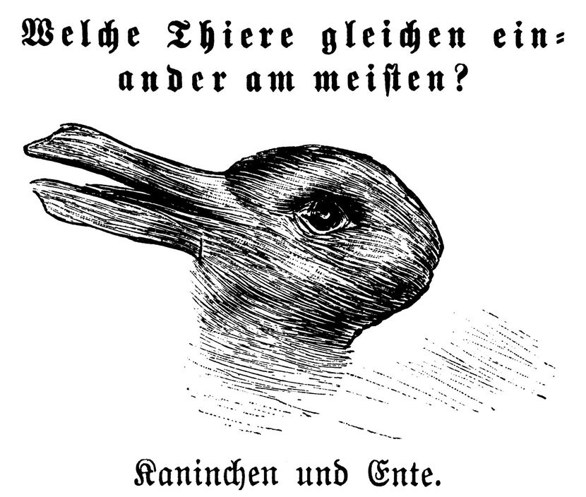 opticka-iluzija-patka-i-zec-830x0.jpg