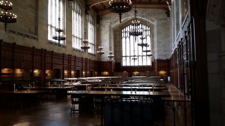 Harry Potte, Hari Poter kviz