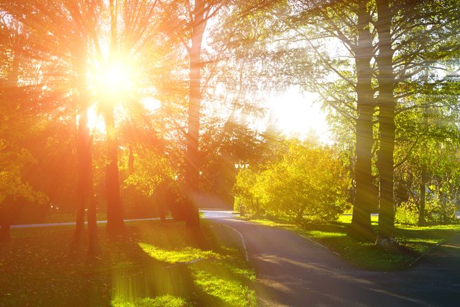 Sunce, vreme, grad, park