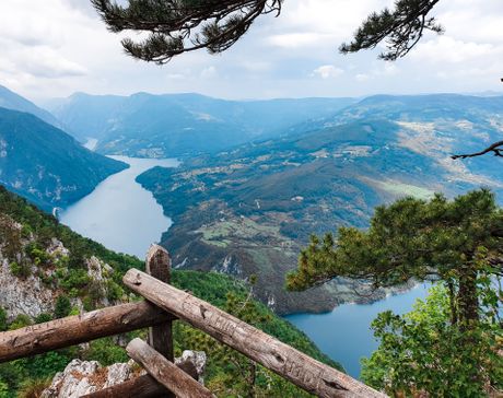 Vidikovac Banjska stena, Tara Vidikovac Banjska stena, Tara