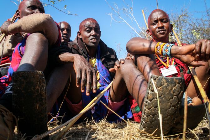 Masai pleme Kenija Afrika, Kenya Maasai Ceremony Masai pleme Kenija Afrika, Kenya Maasai Ceremony
