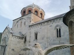 Manastir Studenica, soko