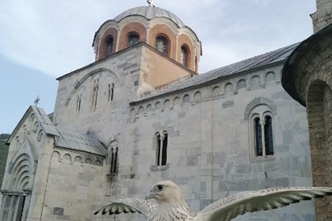 Manastir Studenica, soko