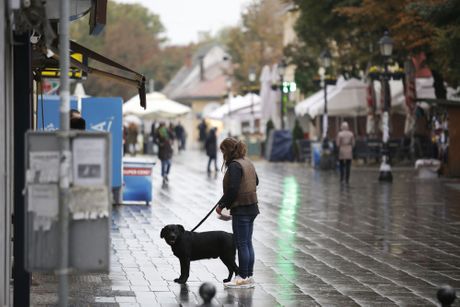 BEOGRAD KISA ULICE, vremenska prognoza nevreme, hladno vreme BEOGRAD KISA ULICE, vremenska prognoza nevreme, hladno vreme