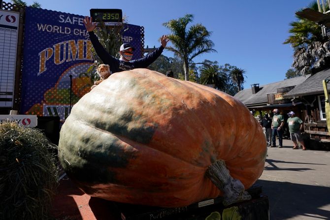 Bundeva, pumpkin