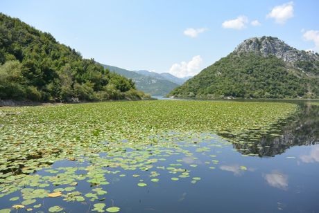 Skadarsko jezero