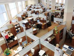 Firma, radnici, zaposleni, posao,kancelarija, open office