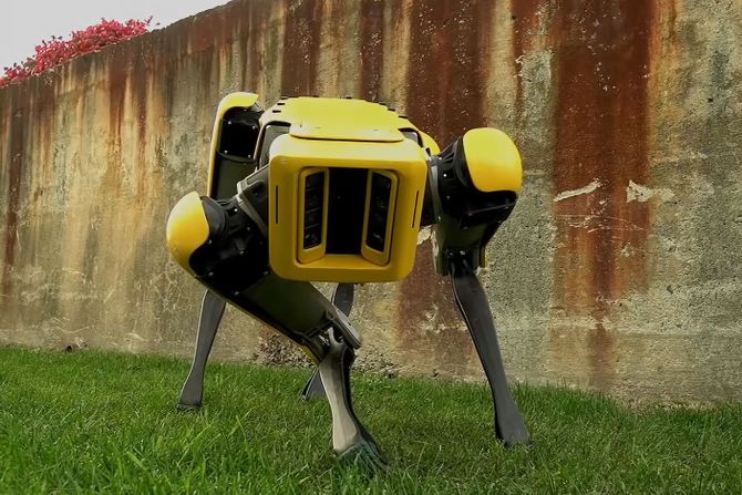 Robot Spot, Robot pas Robot Spot, Robot pas