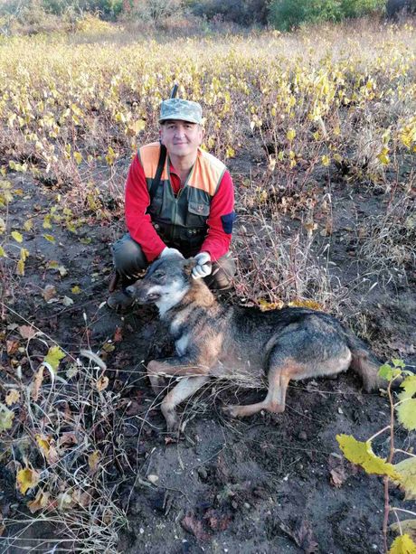 Ivan Vukić Ivan Vukić