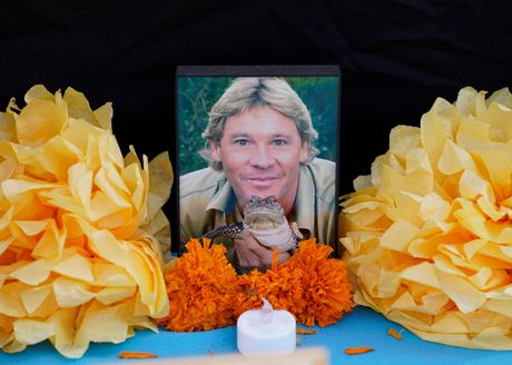 Steve Irwin, Stiv Irvin Steve Irwin, Stiv Irvin