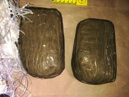 Zaplena, zaplenjena droga, heroin