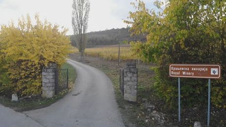 Oplenački vinogradi Oplenački vinogradi