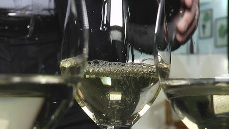 Oplenački vinogradi Oplenački vinogradi