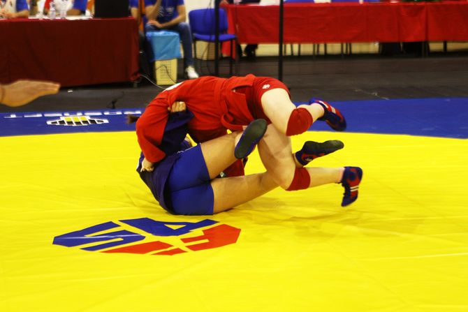 Svetsko prvenstvo u Sambou