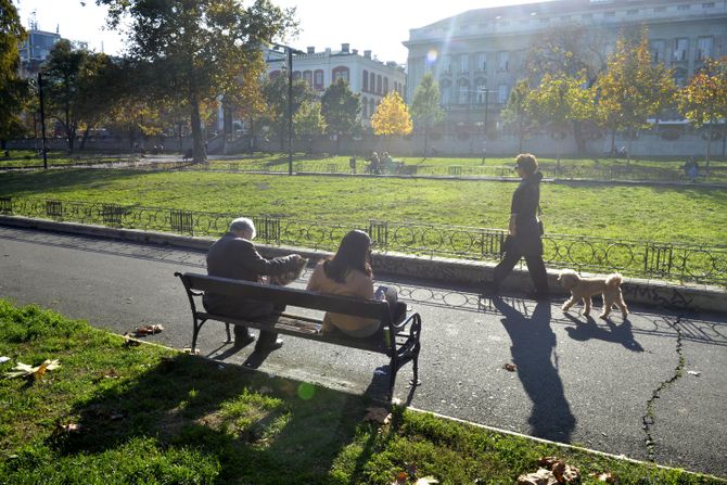 Jesen ulice ljudi Beograd sunce lišće