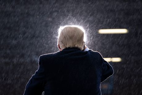 Donald Trump, Donald Tramp Donald Trump, Donald Tramp