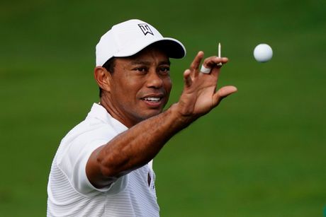 Tajger Vuds, Tiger Woods
