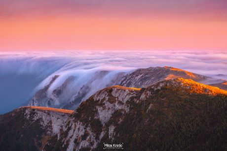 Suva planina