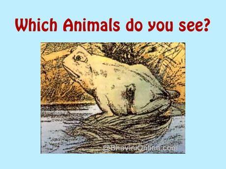 Opticka iluzija, zaba konj Opticka iluzija, zaba konj