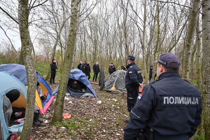 Migranti, Subotica