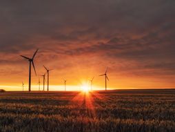 energija, zelena politika