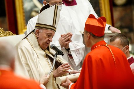 Papa Franja sa kardinalima