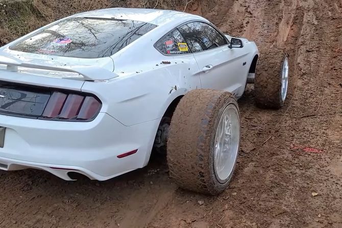 Mustang. Mudstang Mustang. Mudstang