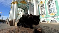 Francuz ostavio deo nasledstva mačkama u muzeju Ermitaž