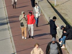 vetar NOVI SAD vetrovito VREME hladno, vremenska prognoza