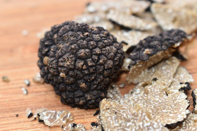 truffles, tartufi,