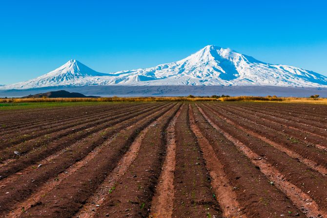 Planina Ararat