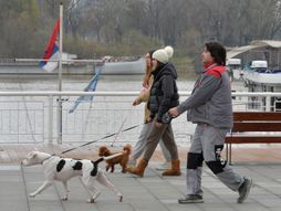 Beograd, hladan decembarski dan, šetnja, savska obala
